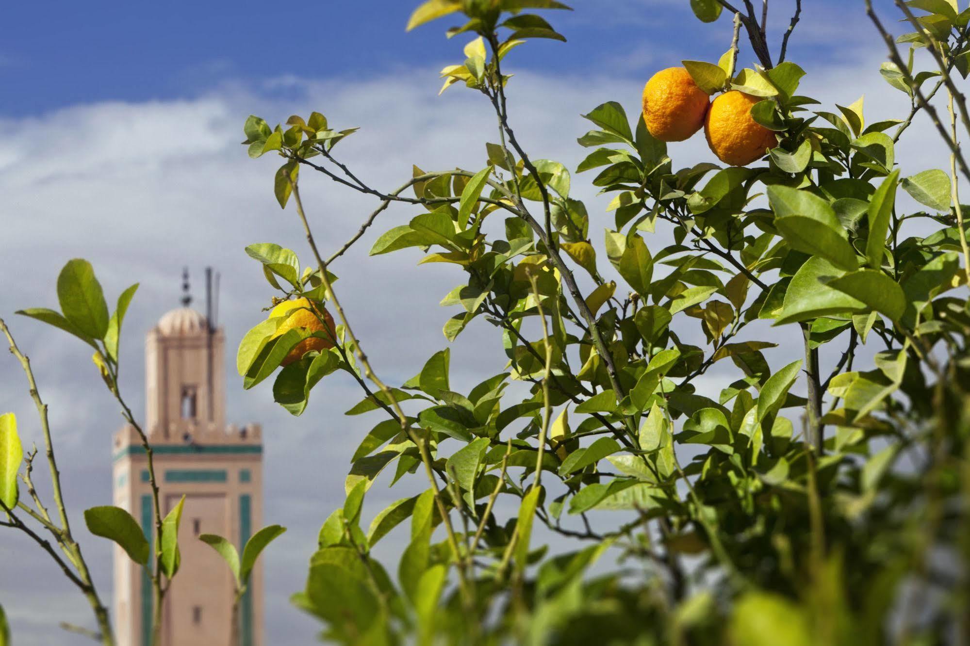 Le Farnatchi Hotel Marrakesh Luaran gambar